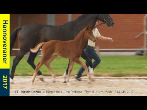 33   Fürstin Donna   v. Fürsten Look - Don Frederico - Eiger III