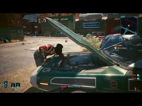 Cyberpunk 2077 - V is looking at Panam Respectfully