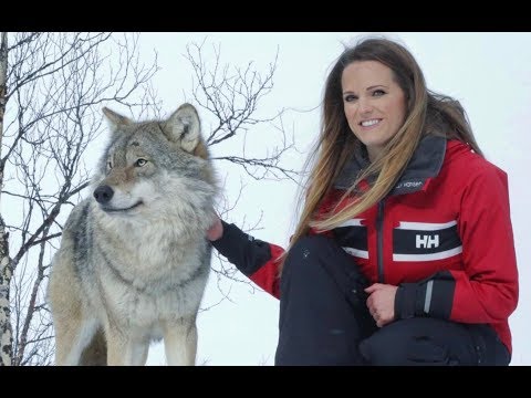 Walking with Wolves in Norway