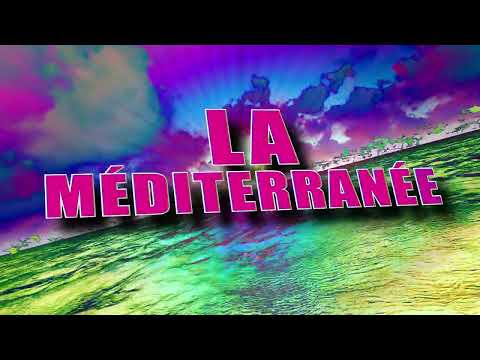 Collectif Métissé - Le Chasseur ( Les Oies Sauvages) Le Lyric clip
