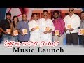 Vajralu Kavala Nayana Movie Music Launch TFC