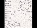 Peter Von Poehl - A Broken Skeleton Key 