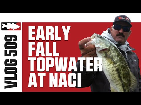 Topwater Spotted Bass at Lake Nacimiento with MLF Pro Jared Lintner  - Tackle Warehouse VLOG #509