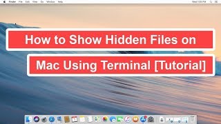 How to Show Hidden Files on Mac Using Terminal [Tutorial]