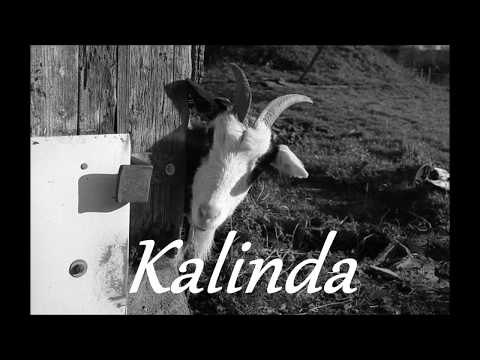 kalinda