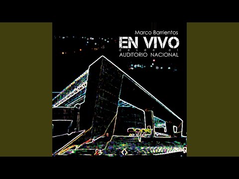 No hay Nadie Como tú