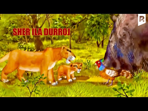 Sher ila Durroj (multfilm) | Шер ила Дуррож (мультфильм)