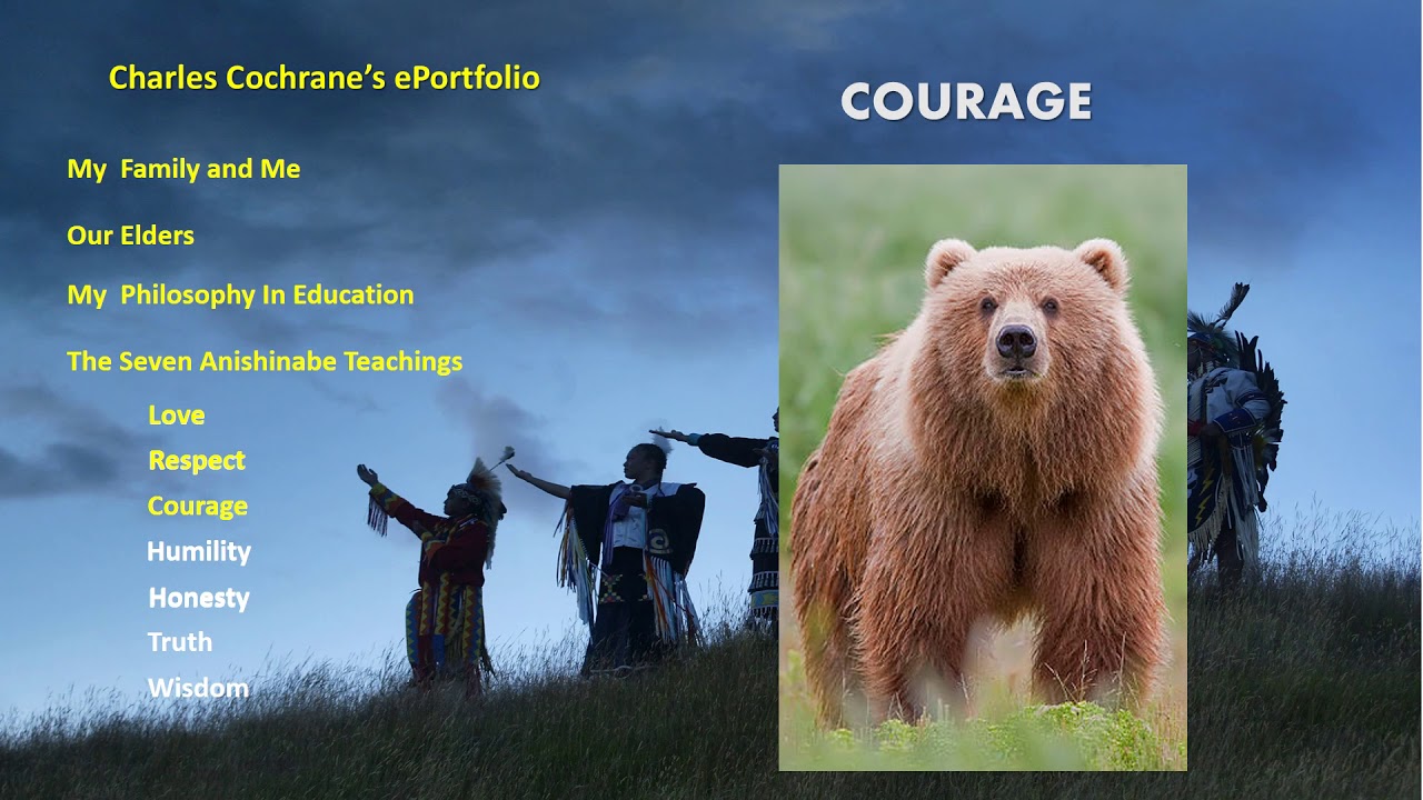 Assignment 3 eportfolio