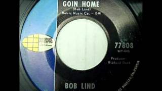 Bob Lind - Cheryl's Goin Home, Mono 1966 World Pacific 45 record.
