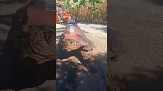 แกะป้ายไม้ด้วยทิมเมอร์DCA