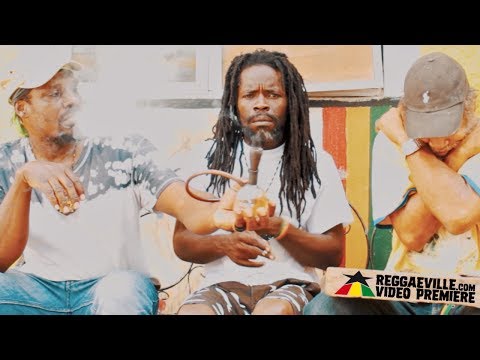 Staddaday - Nuh Bada Take Aneda Life [Official Video 2019]