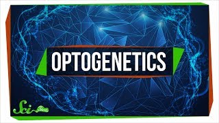 Optogenetics: Using Light to Control Your Brain
