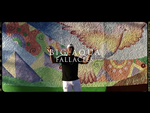 Big Aqua- Fallacies (Official Music Video)