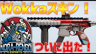 【Wokkkaスキン！？】パイロットプログラム第三段！野良連スキンかっこよすぎwwwwwwwwwww