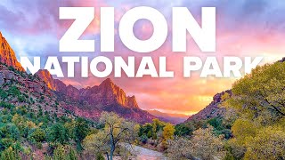 THRILLING Adventures At Zion National Park