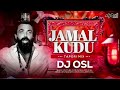 Jamal Jamaloo | Animal | Tapori Mix | DJ OSL | Animal Remix