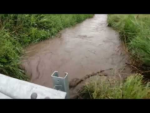 Valea Vezii, Blaj 11.06.2023