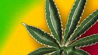 eres una flor-toño rosario