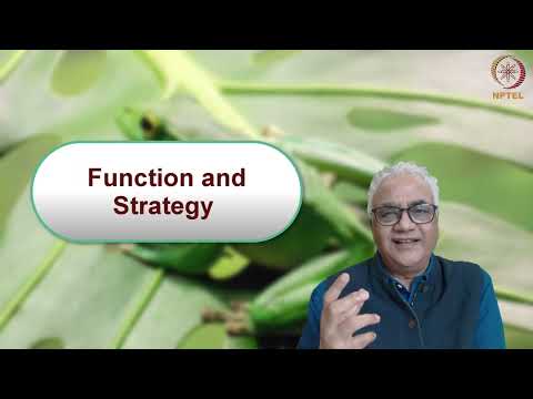 Function and Strategy | Week 2 - Part 3 : Introduction to Biomimicry