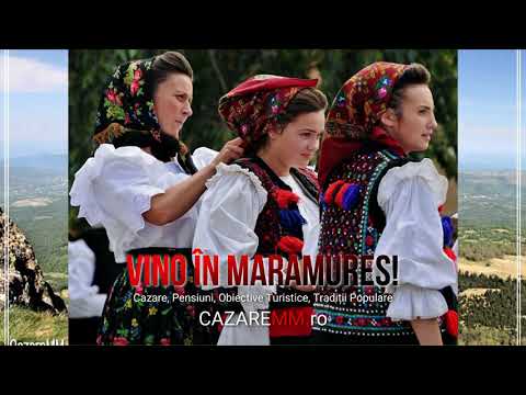 Turism In Maramures, Pensiuni Barsana, Hotel Piscina Maramures