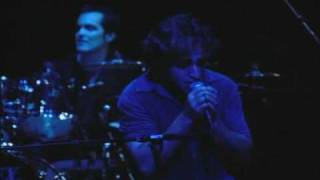 Squonk Spock&#39;s Beard