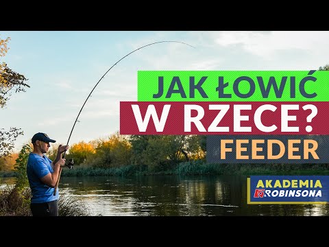 How to Feeder Fish a River? A Fishing Guide! Everything You Need to Know!