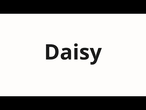 How to pronounce Daisy