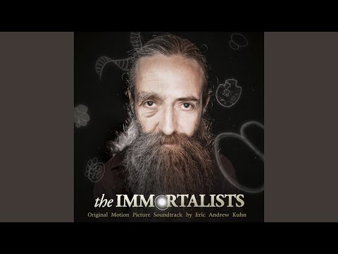 Erik Gammelgard - Medallion - Misc Originals