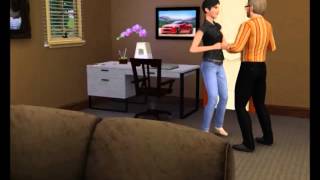 Hardcore Sims