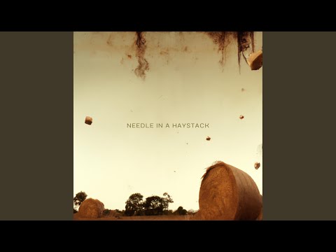 Needle In a Haystack