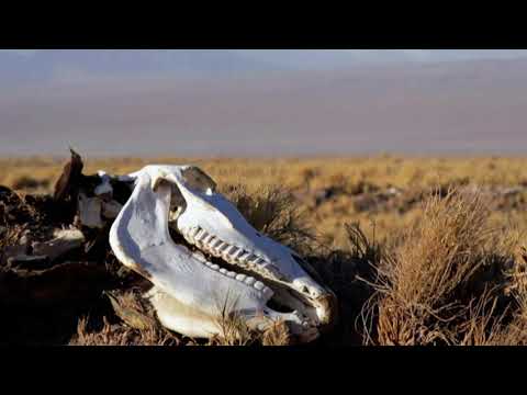 Rađanje zemlje - Obnova Patagonije - Ponedjeljak 17:05