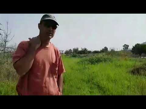 טיפול בשטחים פתוחים בבית חשמונאי