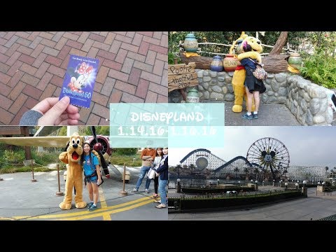 DISNEYLAND MONTAGE / 1.14.16-1.16.16 | Alison Chin
