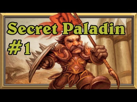 Secret Paladin #1: Who am I?