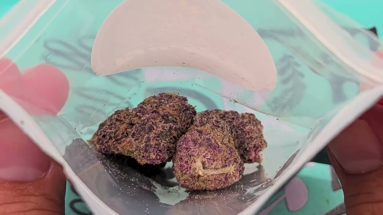 Blaze Hydro - ValuedBud Review