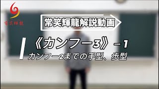 カンフー2までの手型、歩型