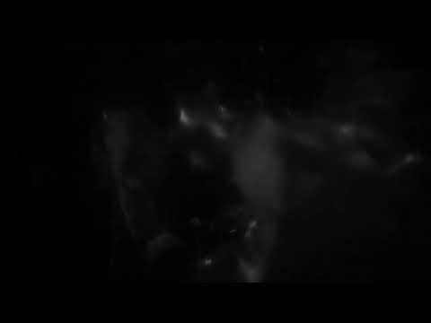 Joel Fausto & Illusion Orchestra - Lost In The Park (Official Video)