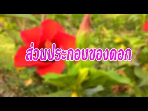 Bad กับความอ่อนแอ เป็นผู้หญิงควรกระตุ้นชายคนหนึ่ง