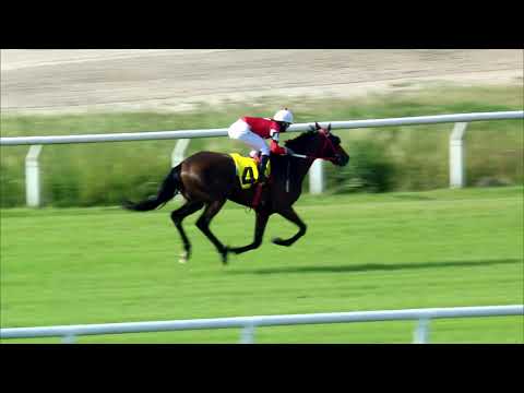 201115 c06 DON PATA (BRZ)