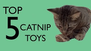 Top 5 Catnip Toys