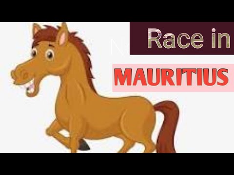 Race 3. 22nd Meeting 2020 Season.