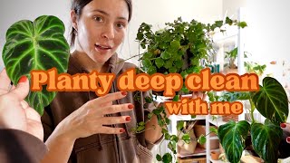 Routine Deep Clean of my Plants | Plant Care Hang Out Vlog