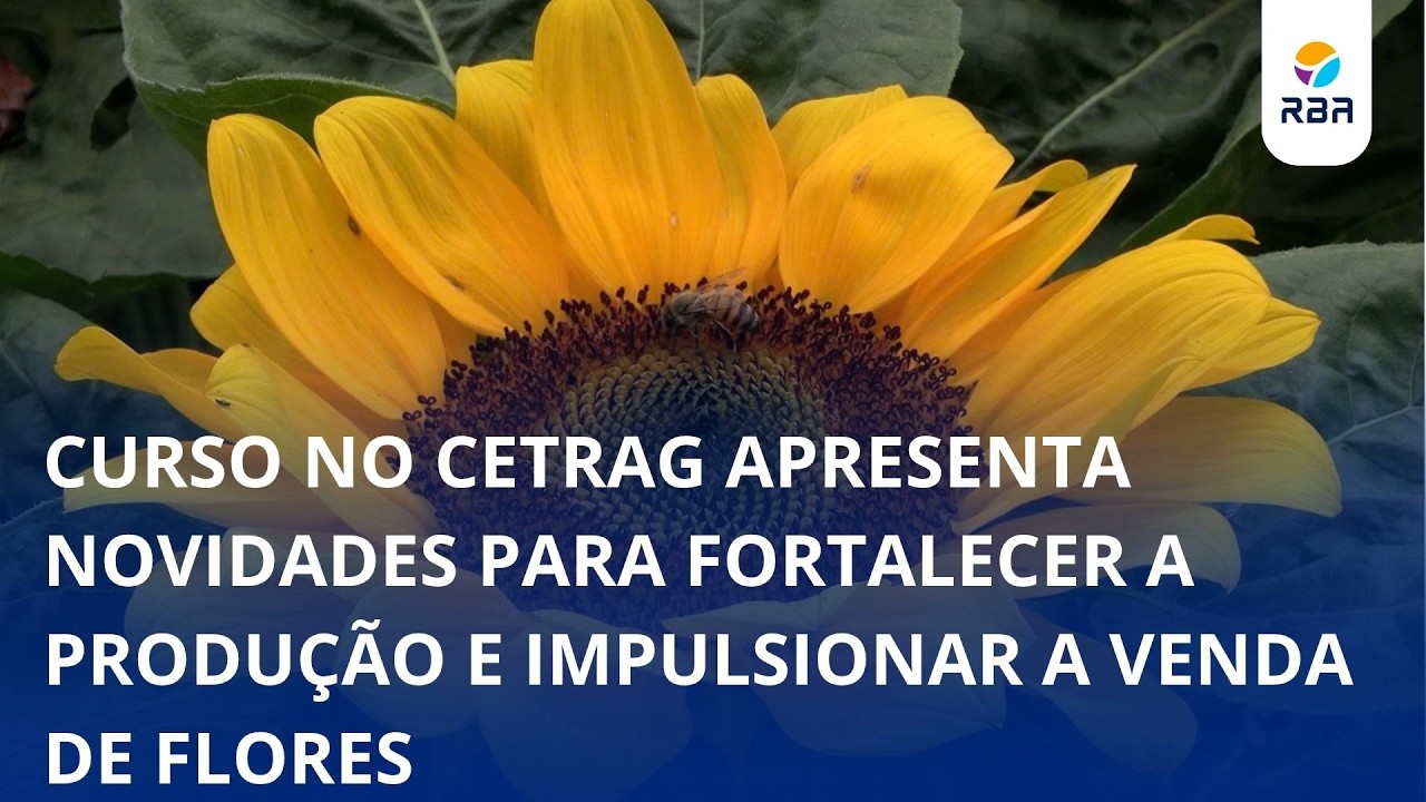 Flores que geram negócios: produtores buscam novas oportunidades no Alto Vale