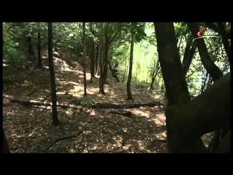 Wilder Amazonas 1_4 (Doku).mp4