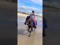 Horseback Riding On The Beach