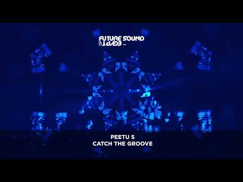 Peetu S - Catch The Groove
