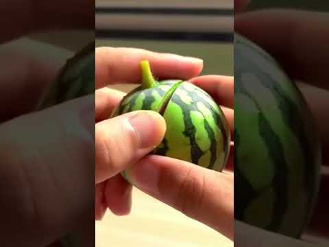 I ate the World’s SMALLEST watermelon! 🍉😋