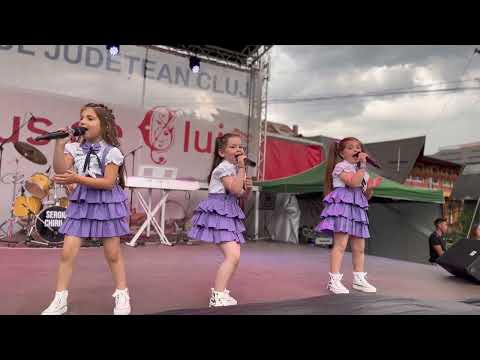 TRIO ARTIST - Produs de Cluj, Gherla 2023