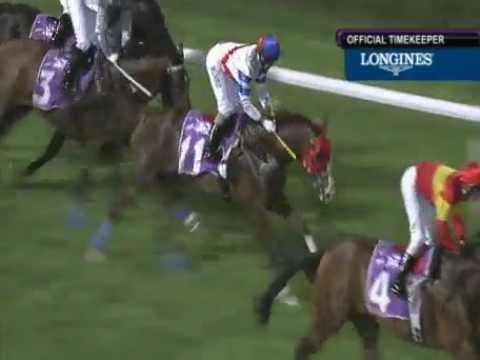 マイターピーク　9着　2013.04.26　R07　 Queen Elizabeth II Cup (SG2)