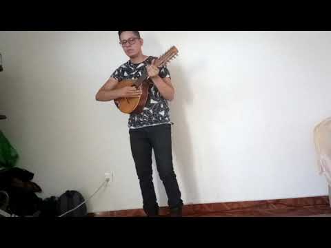 Lorde-Royals Instrumental Cover Mandolina